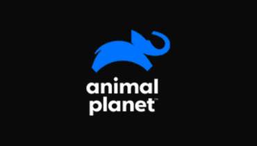 Assistir Animal Planet ao vivo em HD Online Assistir Animal Planet ao vivo em HD Online