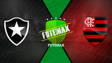 Assistir Botafogo x Flamengo online 15/02/2026